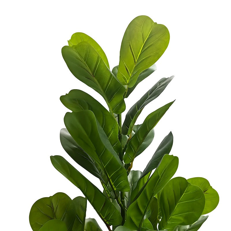 Artificial Fiddle Leaf Tree - Multiple Sizes