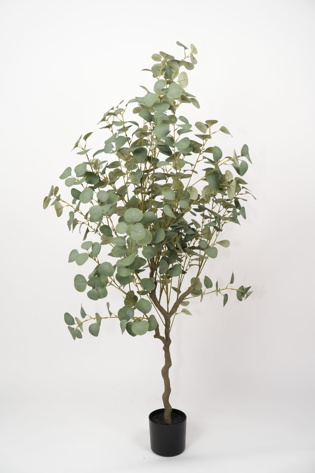 Artificial Eucalyptus Tree - Multiple Sizes