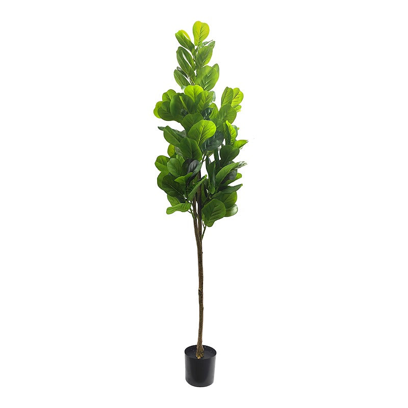 Artificial Fiddle Leaf Tree - Multiple Sizes